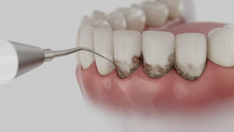 Reliable Dental contractor in Milton, LA by Dentist Open Now